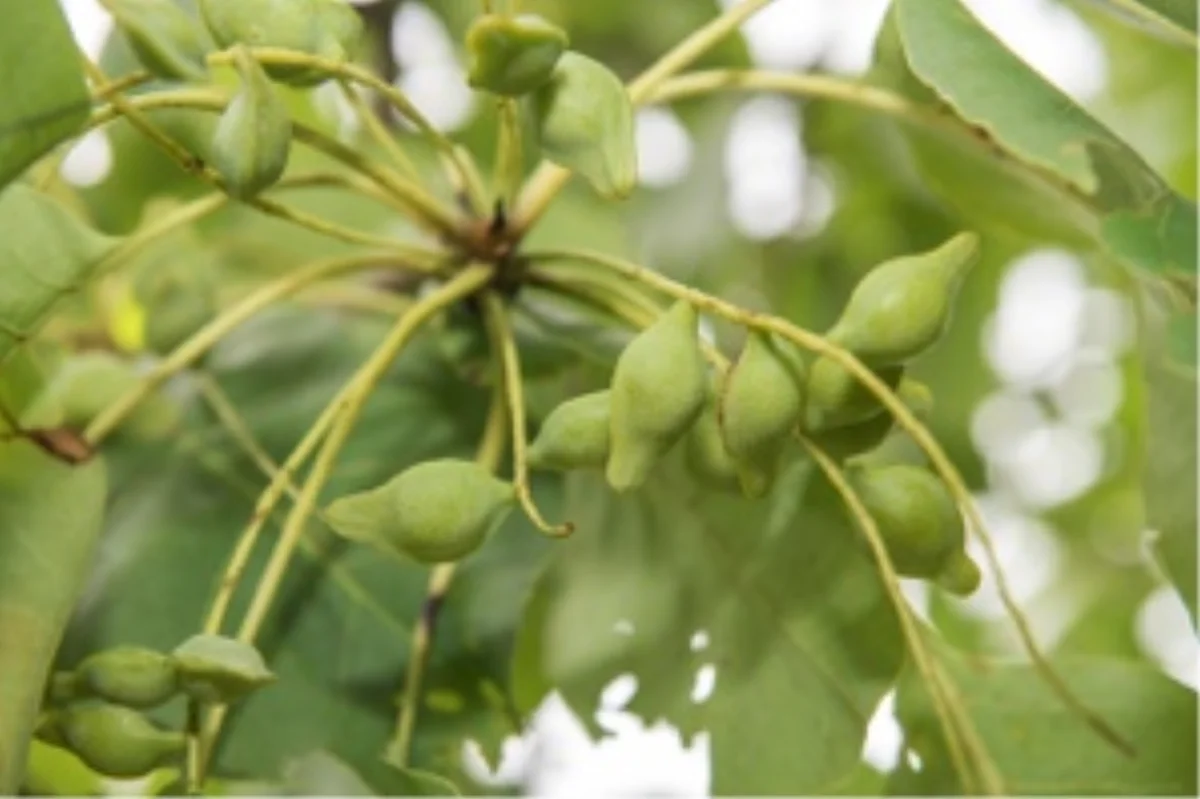 Nature & Wildlife — Sandla Studios